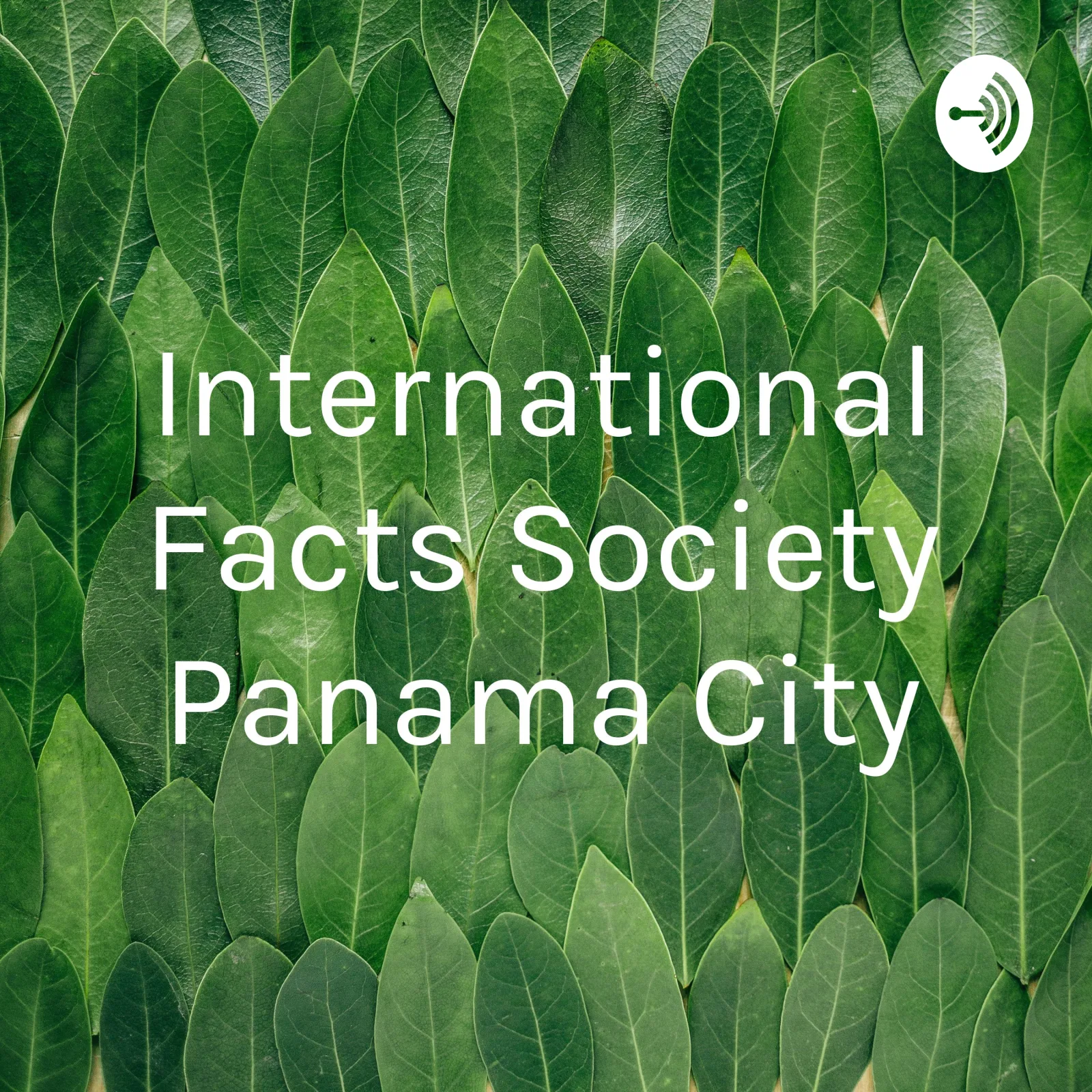 Panama City artwork